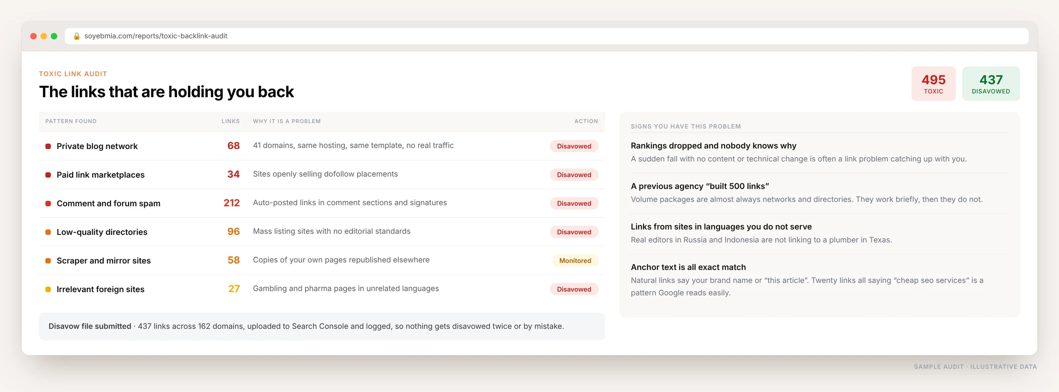 Toxic backlink audit showing private blog networks, paid link marketplaces, comment spam and low-quality directories found, with the number of links and the action taken