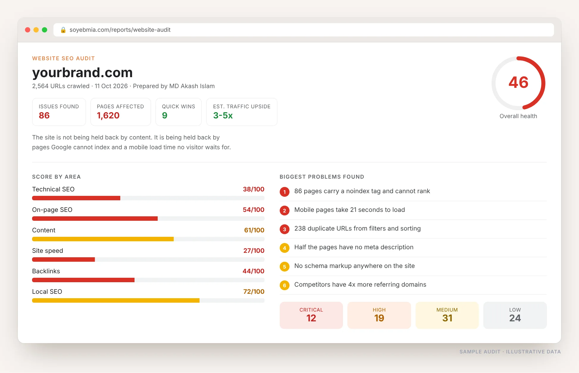Website SEO audit report showing an overall health score of 46, scores by area for technical SEO, on-page, content, speed, backlinks and local SEO, and the biggest problems found
